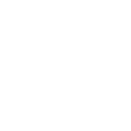 Compliance governance​