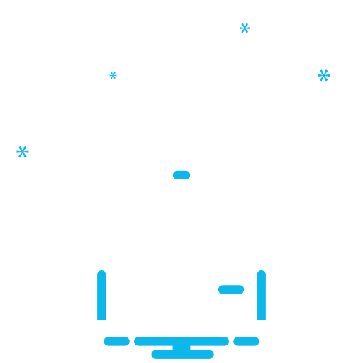 virtual Chief Information Officer
